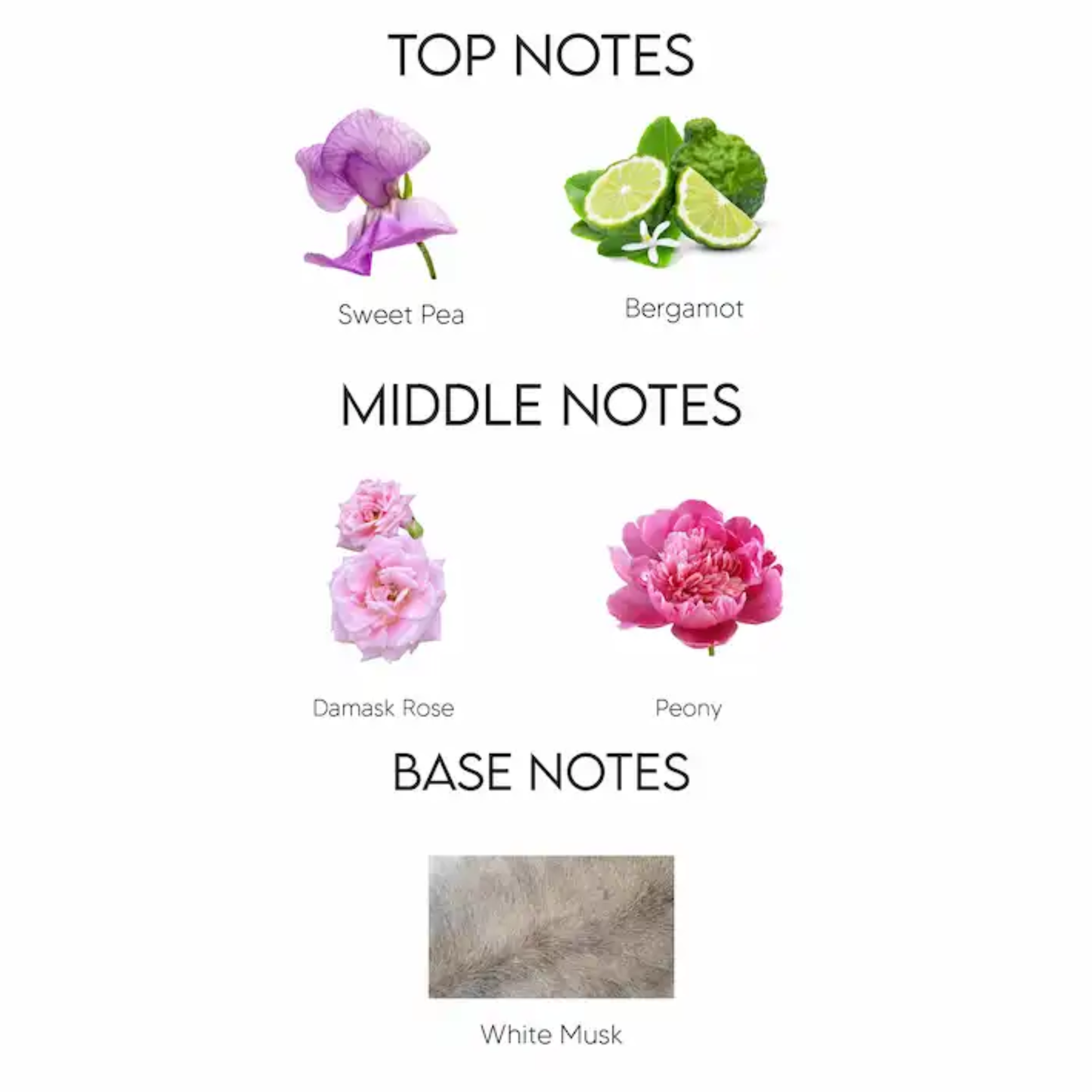 DIOR MISS DIOR BLOOMING BOUQUET EAU DE TOILETTE FOR WOMEN 100ML